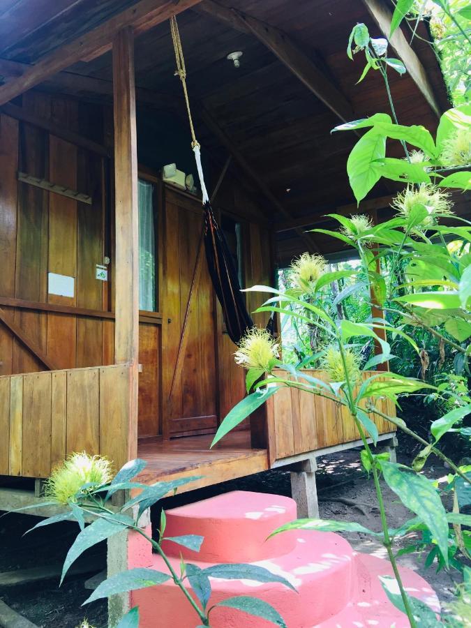 Cabanas Armonia Y Jardin De Orquideas Mindo Exterior foto