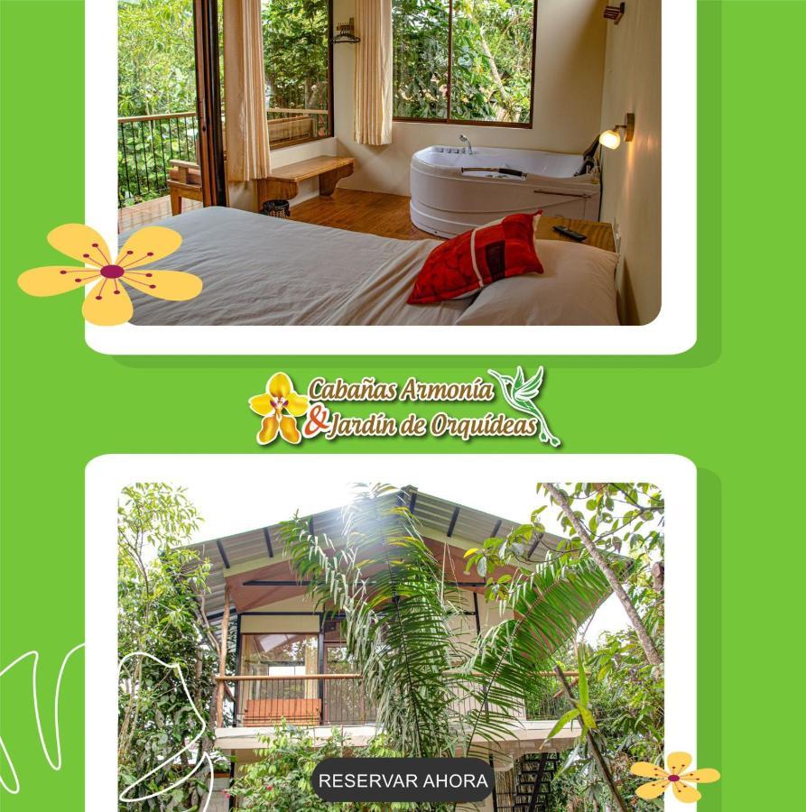 Cabanas Armonia Y Jardin De Orquideas Mindo Exterior foto