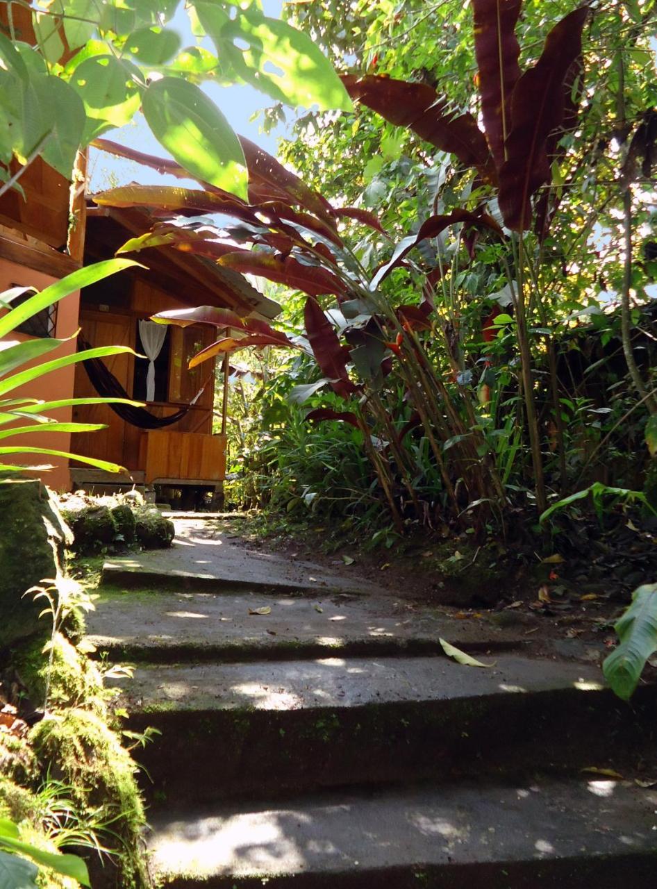 Cabanas Armonia Y Jardin De Orquideas Mindo Exterior foto
